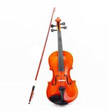 1/8 Size Acoustic Expert Violin