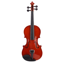 Professional 4/4 Full Size Solid Wood Acoustic Violin