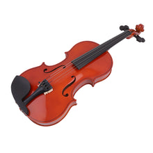 Professional 4/4 Full Size Solid Wood Acoustic Violin