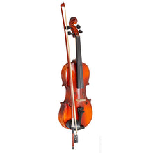 Professional Performance Violin