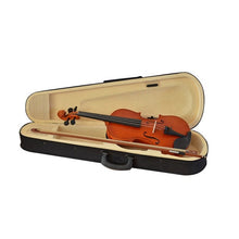 Professional Performance Violin