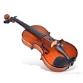 Professional Performance Violin
