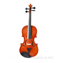 Professional Performance Violin