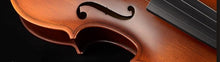 Italy Christina V01 Stradivari Beginner Violin